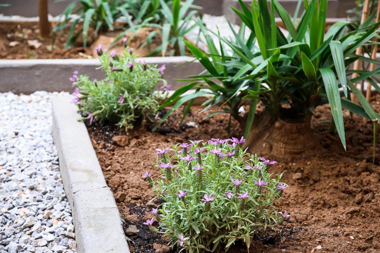 Caravin Wanderhome, 5 Min From Metro Nea Ionia Athens Ngoại thất bức ảnh